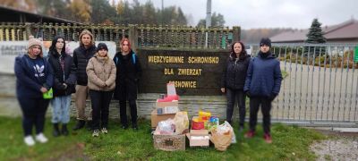 Komunalne Schronisko dla Bezdomnych Zwierząt w Sosnowicach